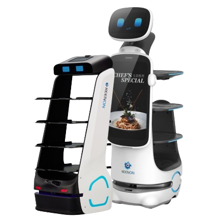 Robot humanoide de servicio