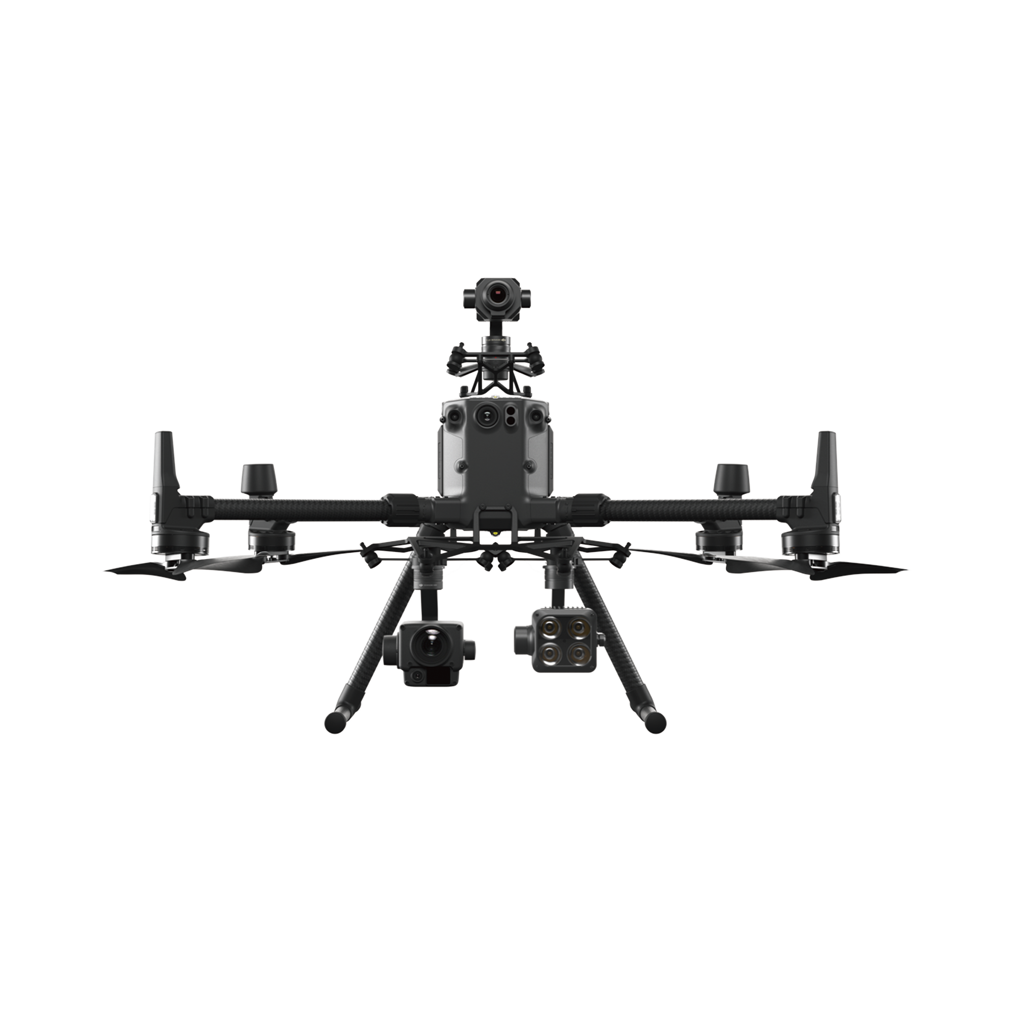 DJI Matrice 300 RTK vista 1