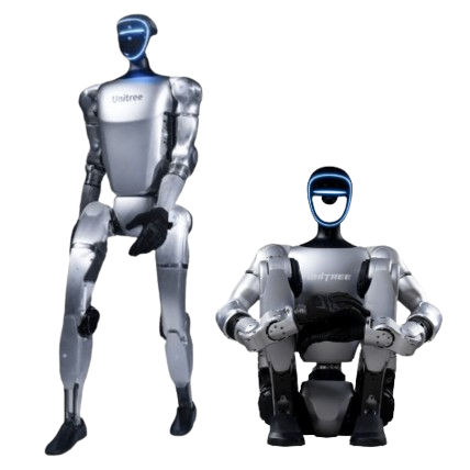 Robot Humanoide Industrial X